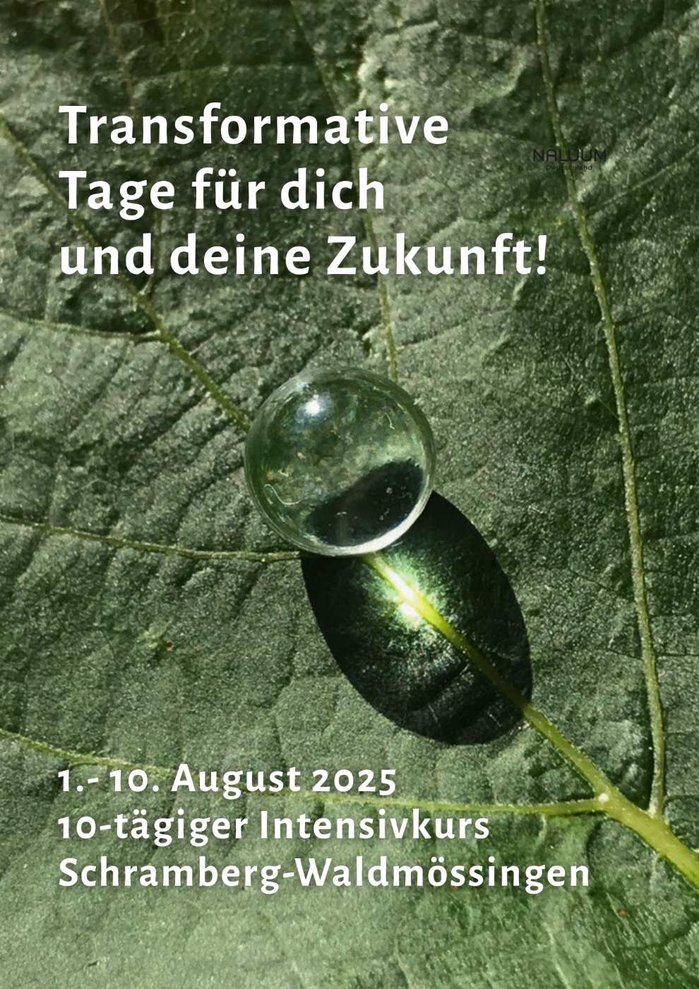 Event image for Zertifizierter PDC | Permakultur Design Kurs mit Tierra Martinez